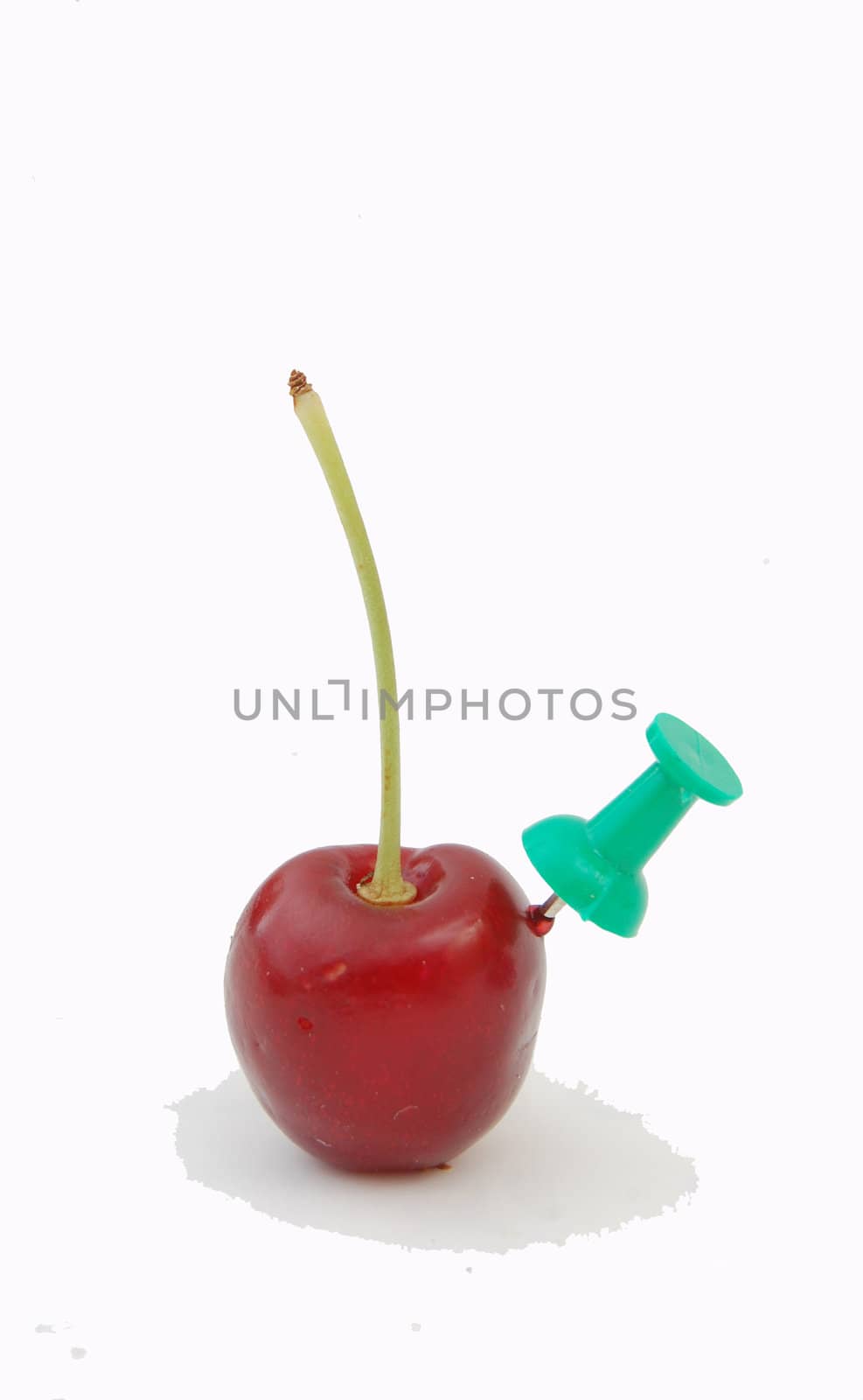 cherry