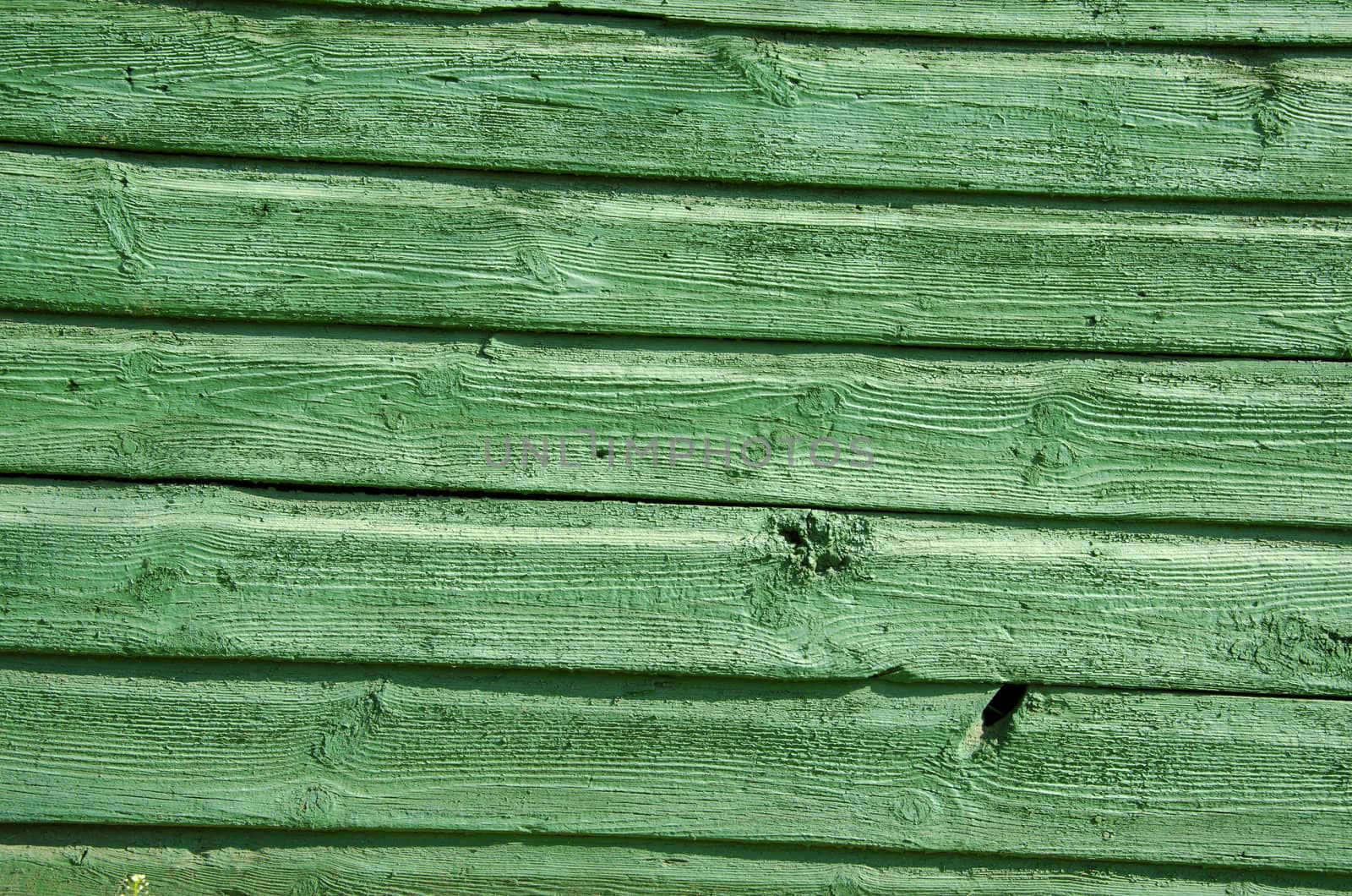 Background of old wooden board wall painted green closeup.