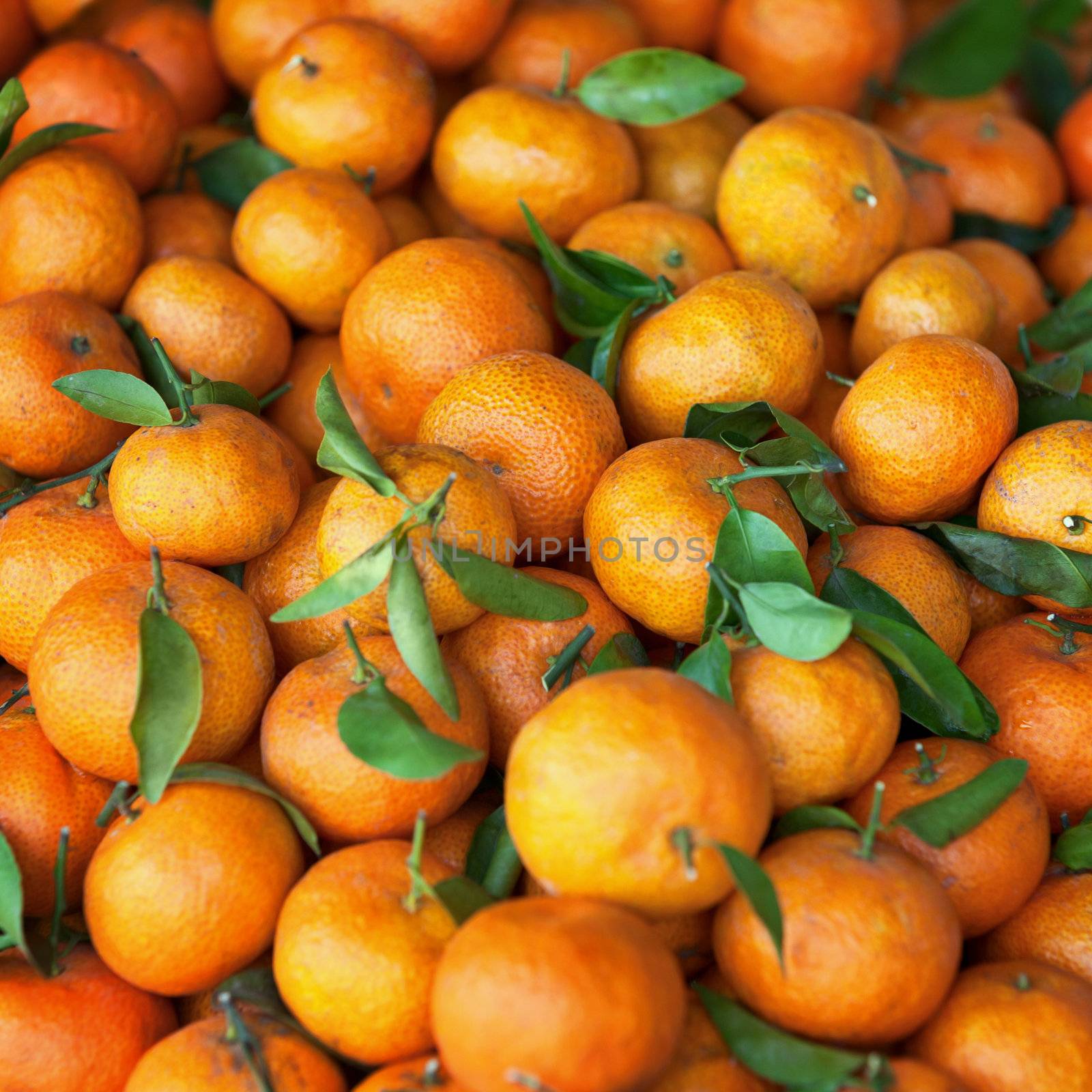 Tangerines with leaves on the counter of the Thai market