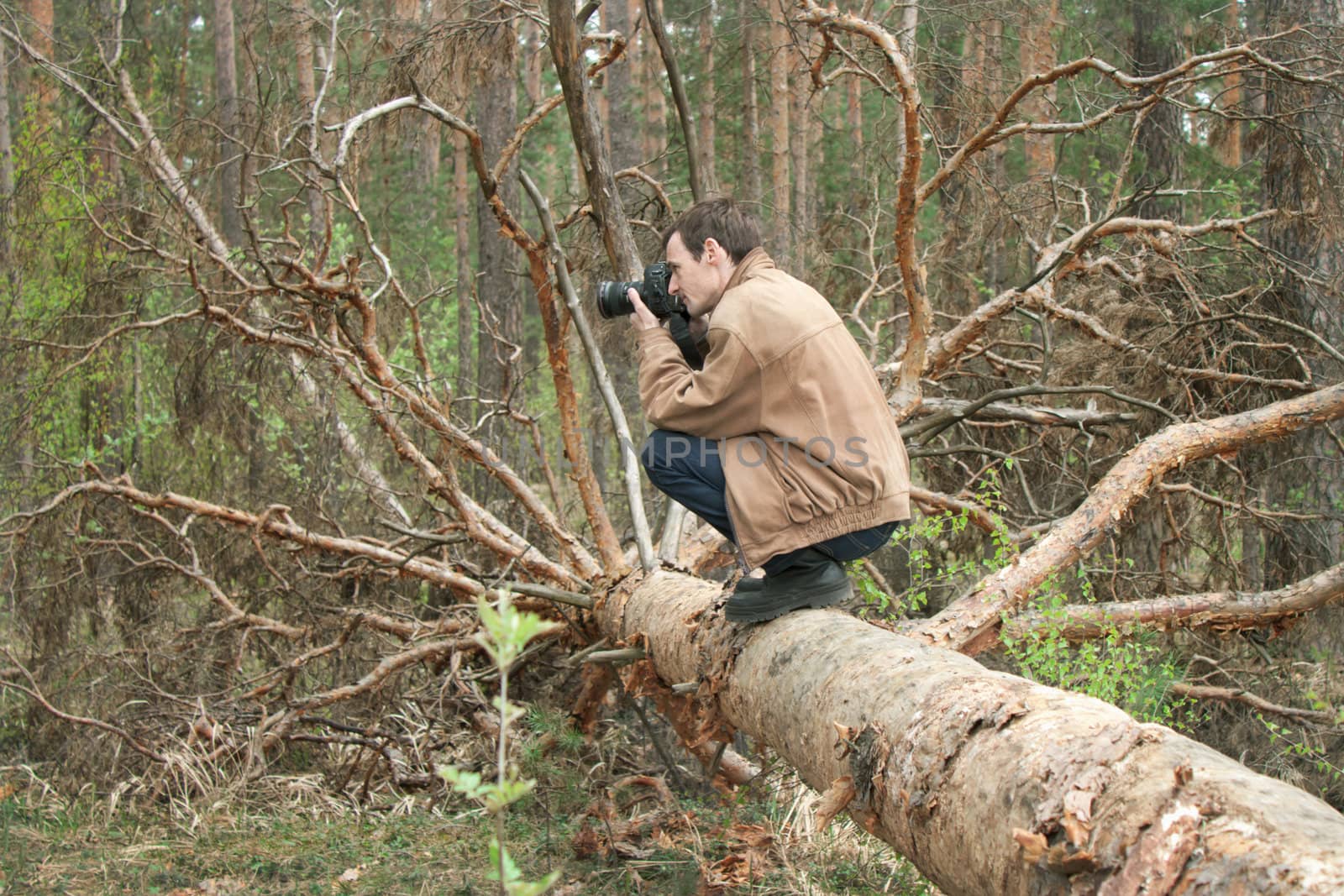 A man sitting on a fallen tree. Spring