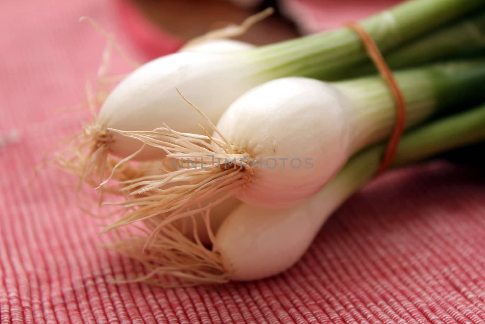 spring onions