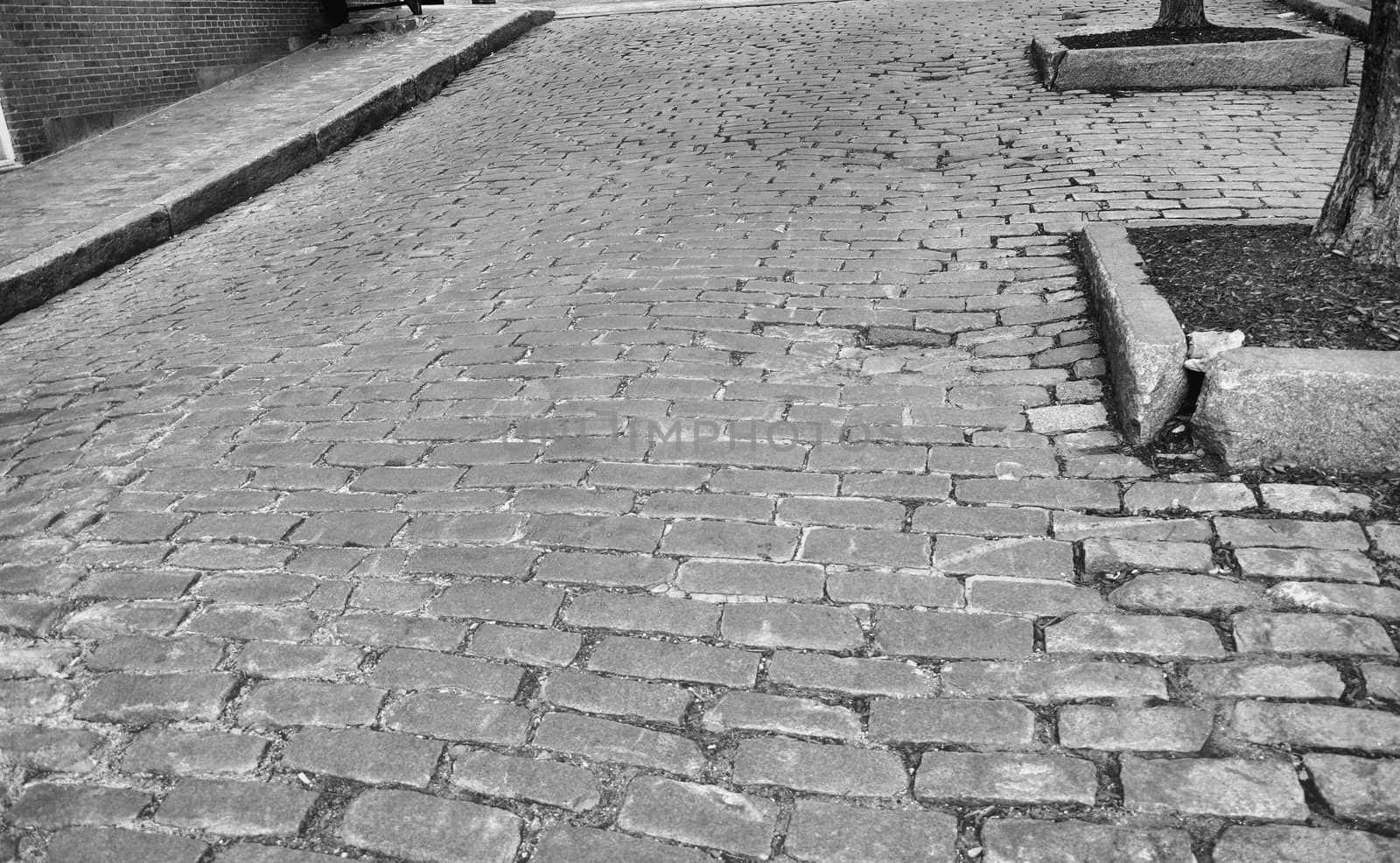 An old cobblestone road shown in black and white.
