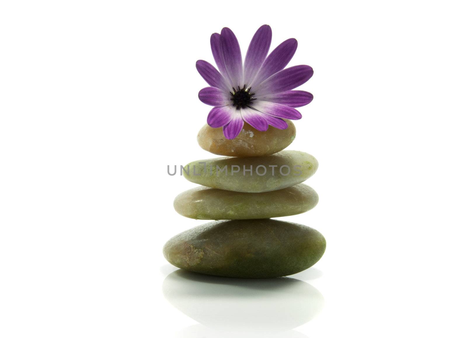 pink flower on top of tower from stones