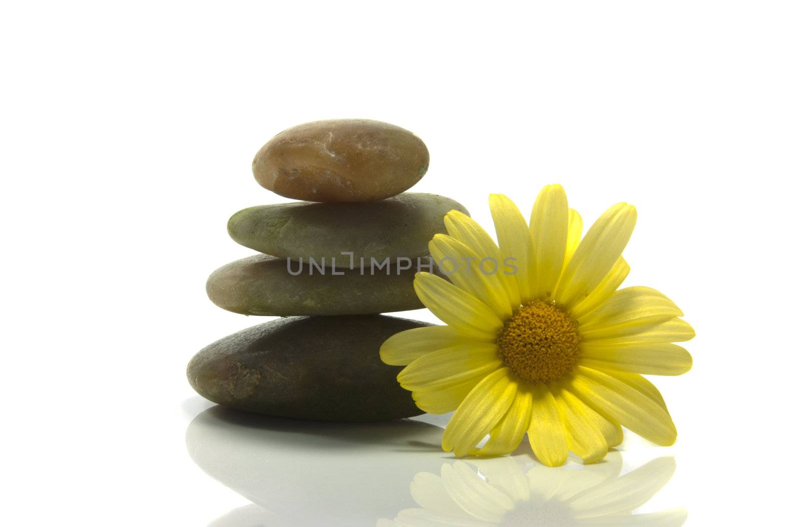 tower of stones in balance with yellow flower