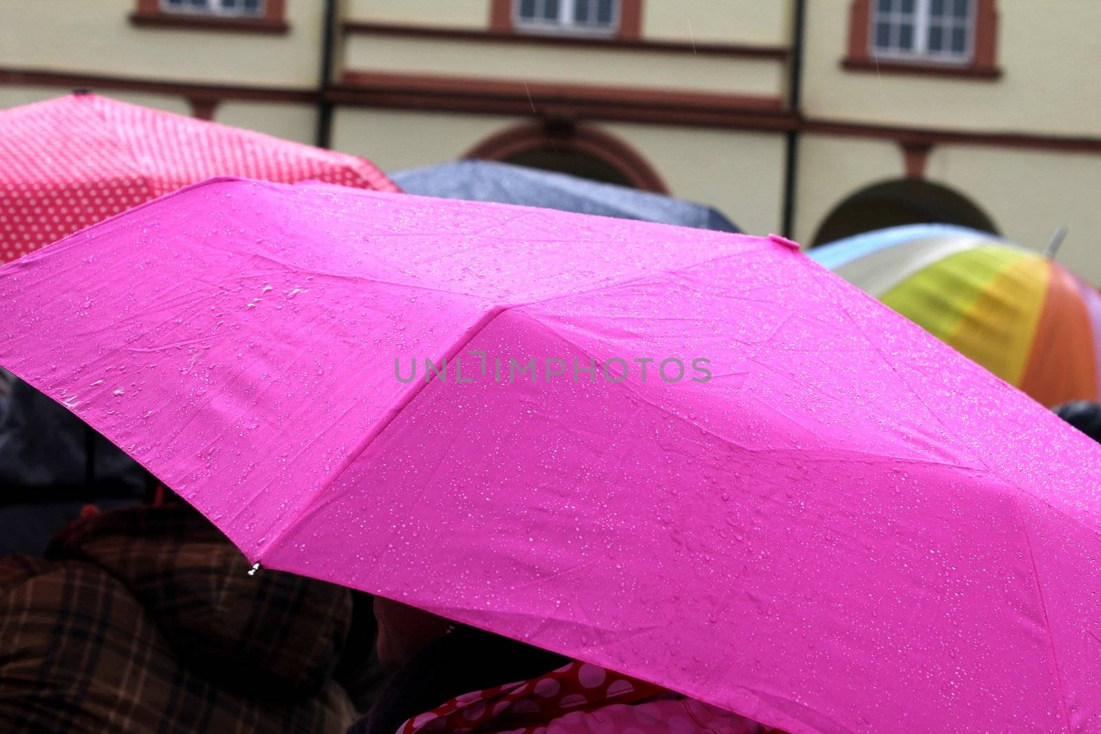 rainy day umbrellas