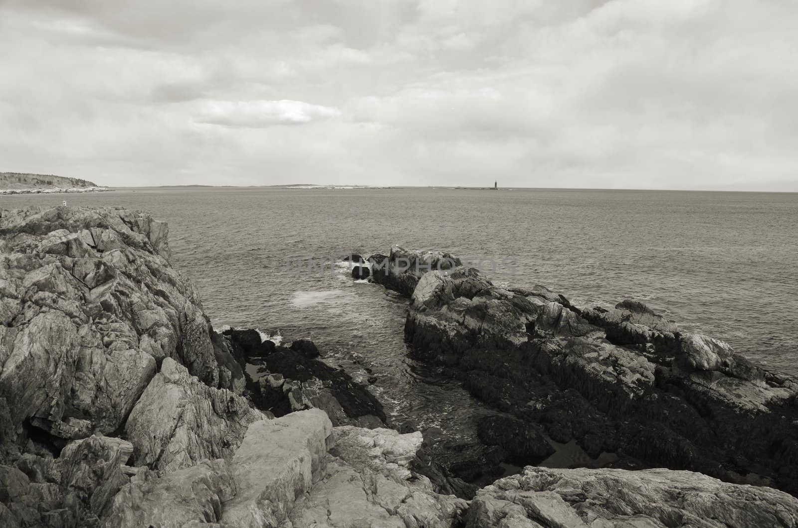 The rocky coast of maine shown in black and white