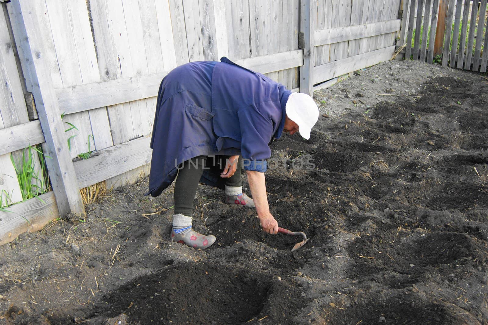 Elderly woman will put plants