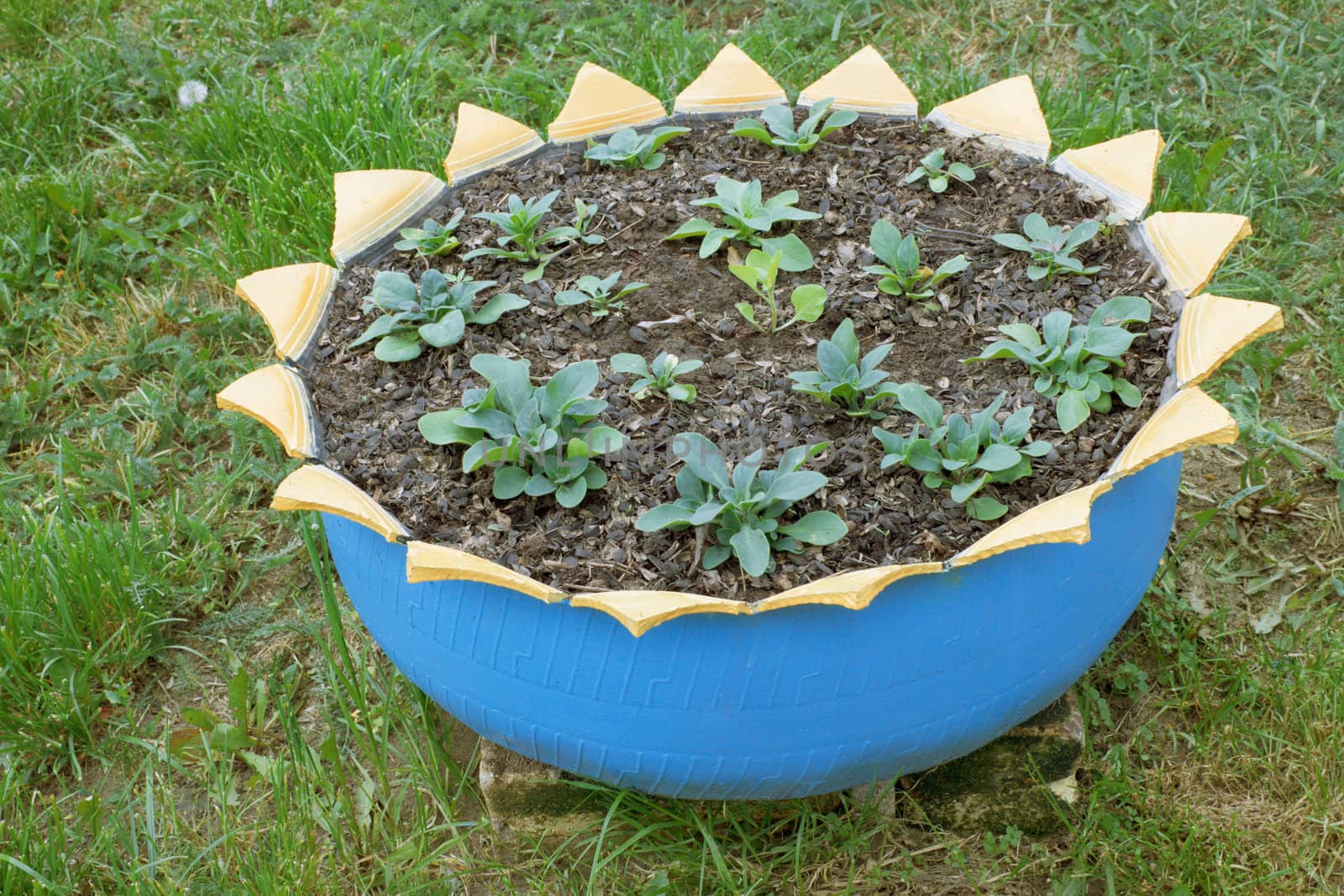 A flower bed made ​​from old car tires
