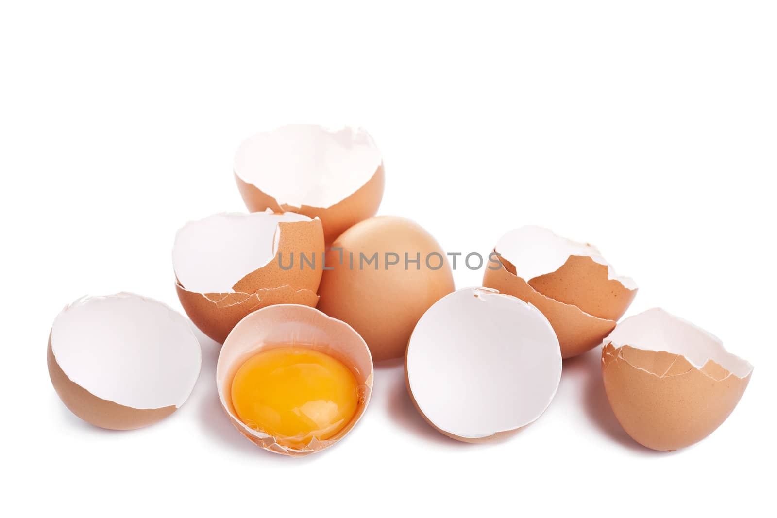 eggs isolated