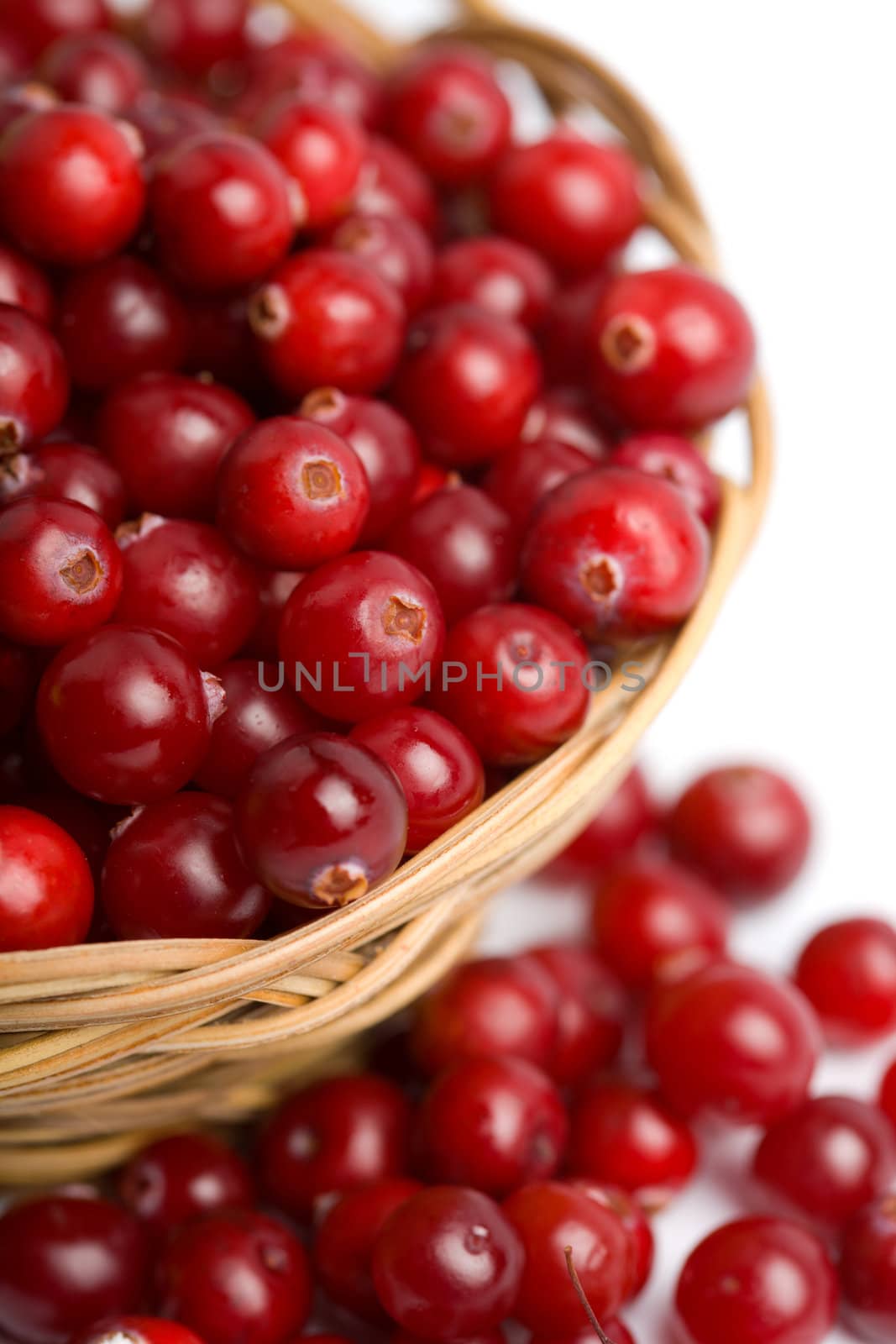 ripe cranberries in bowl isolated 