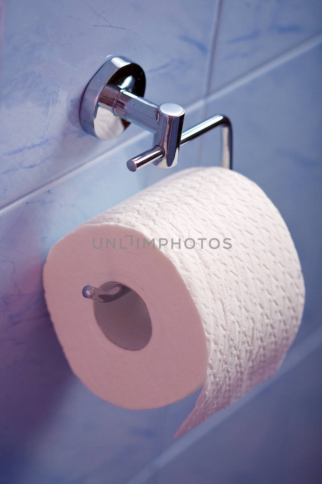 toilet paper
