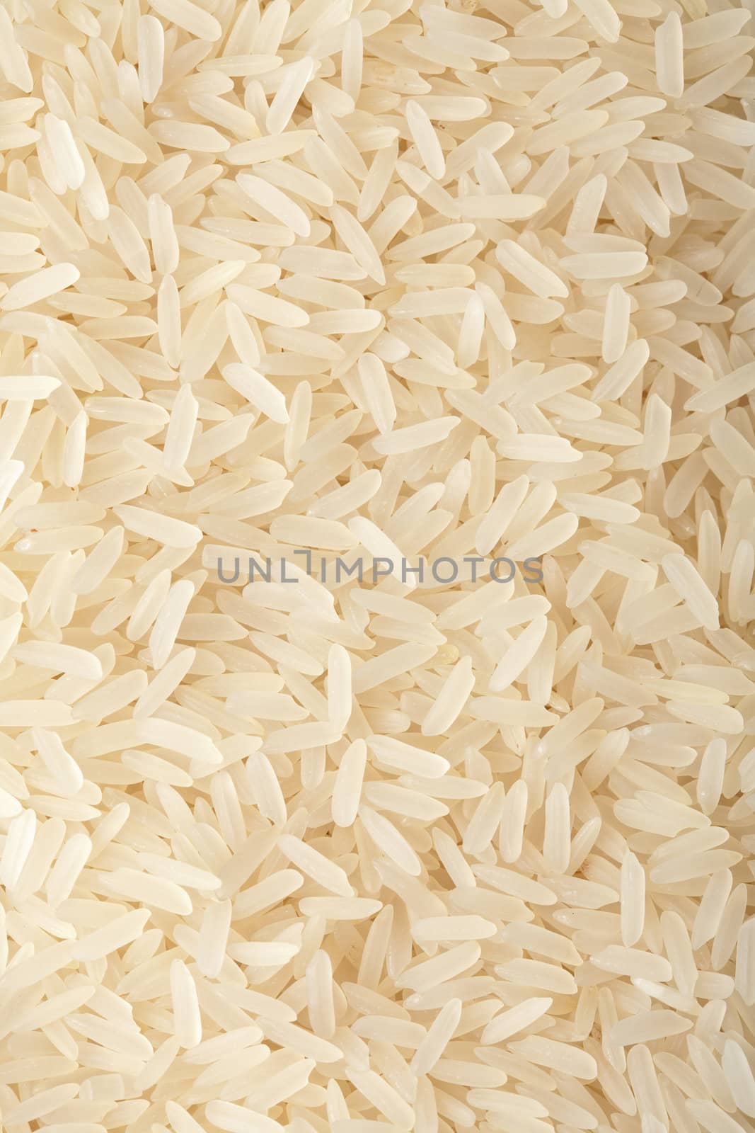 raw rice backround