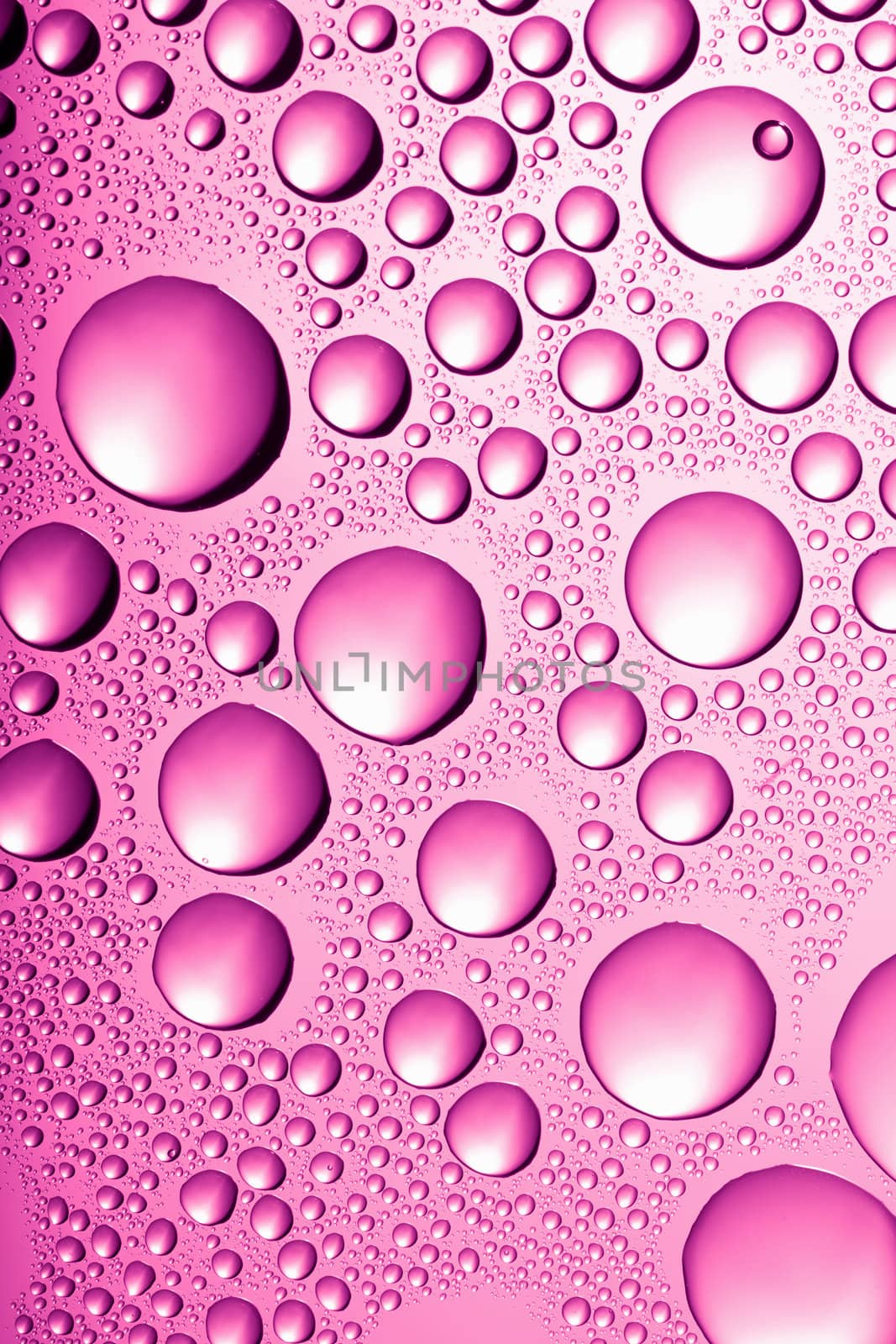 pink water drops background