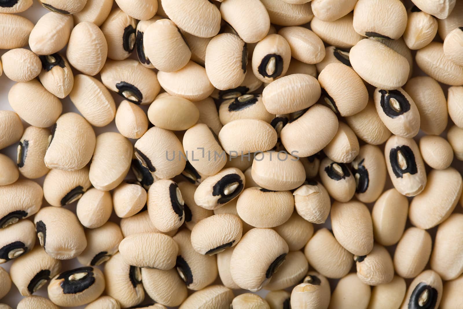 white haricot beans background
