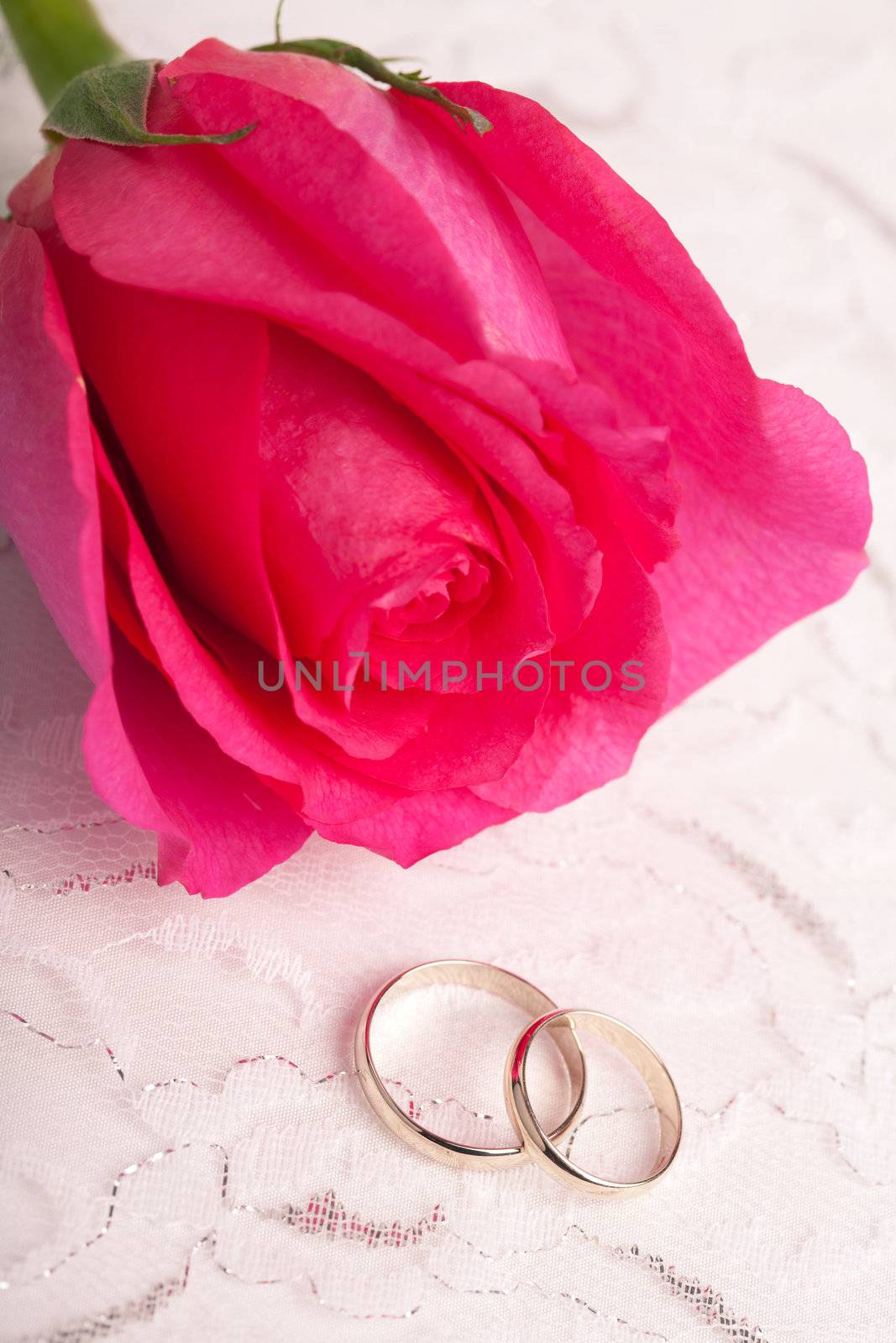 Gold wedding rings and pink rose
