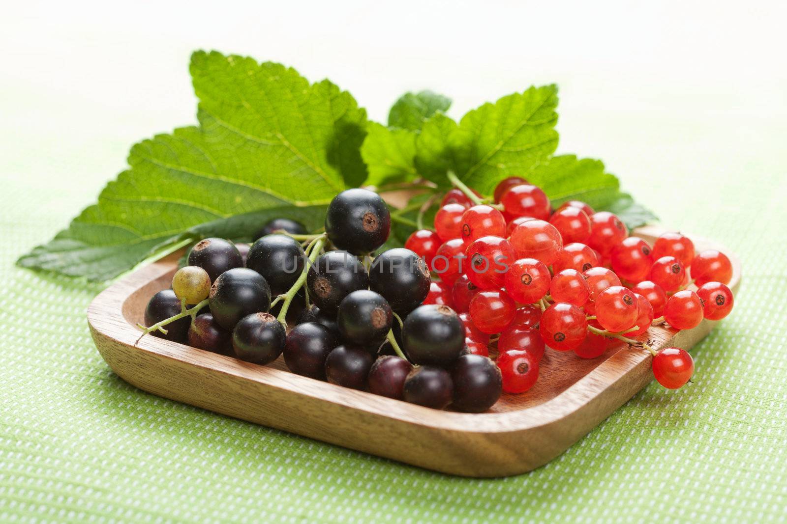 blackcurrant and redcurrant