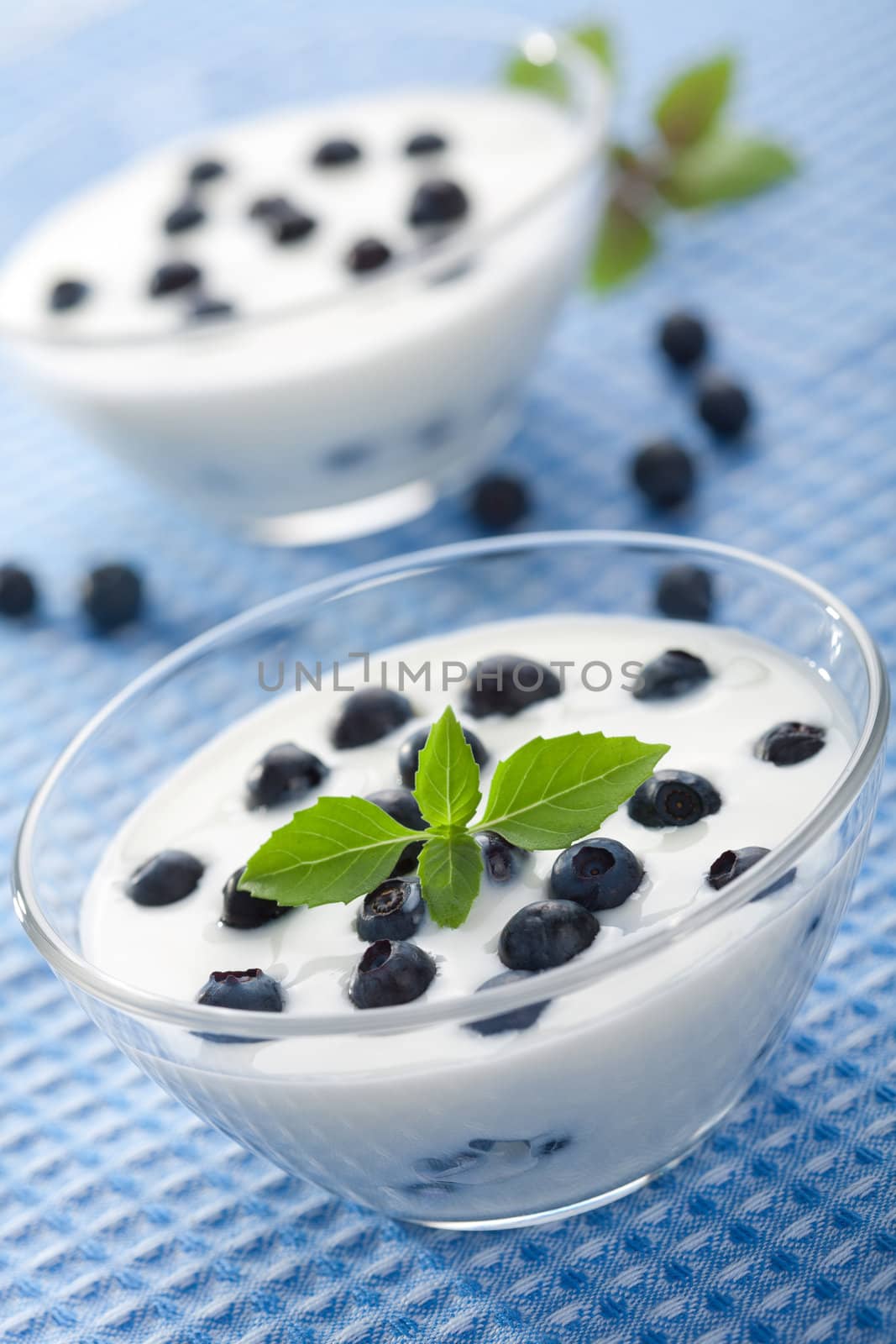 yogurt with blueberry 