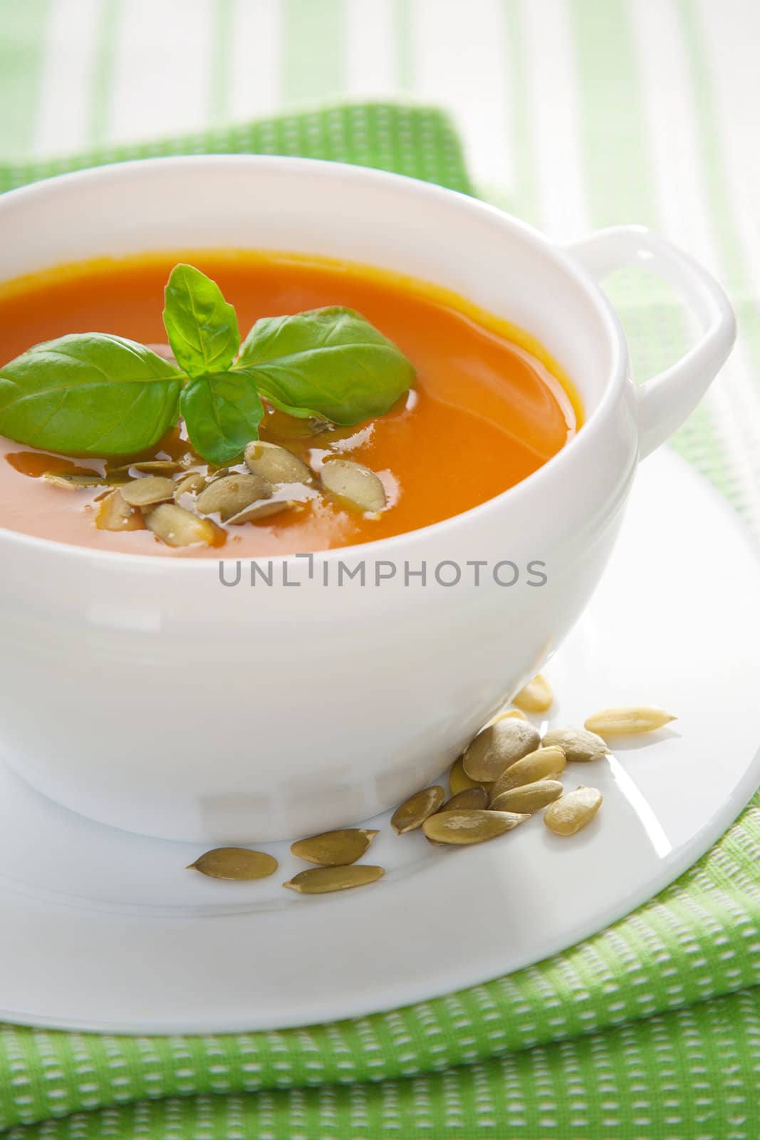 vegetable soup