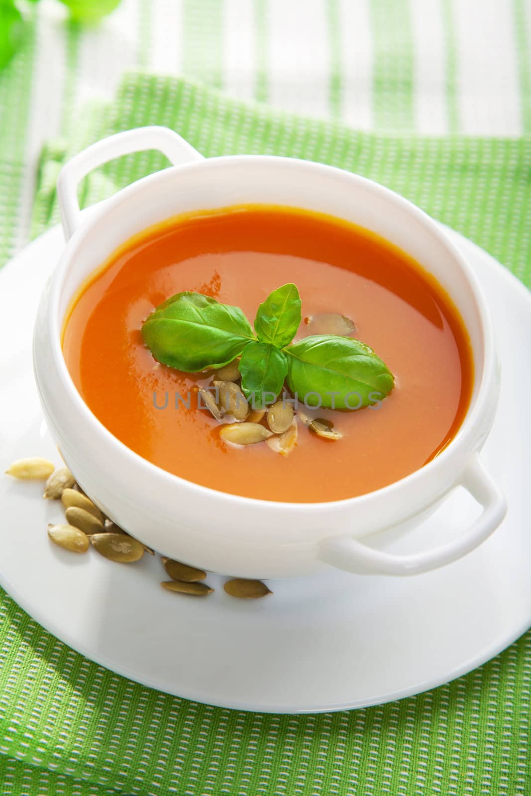 vegetable soup