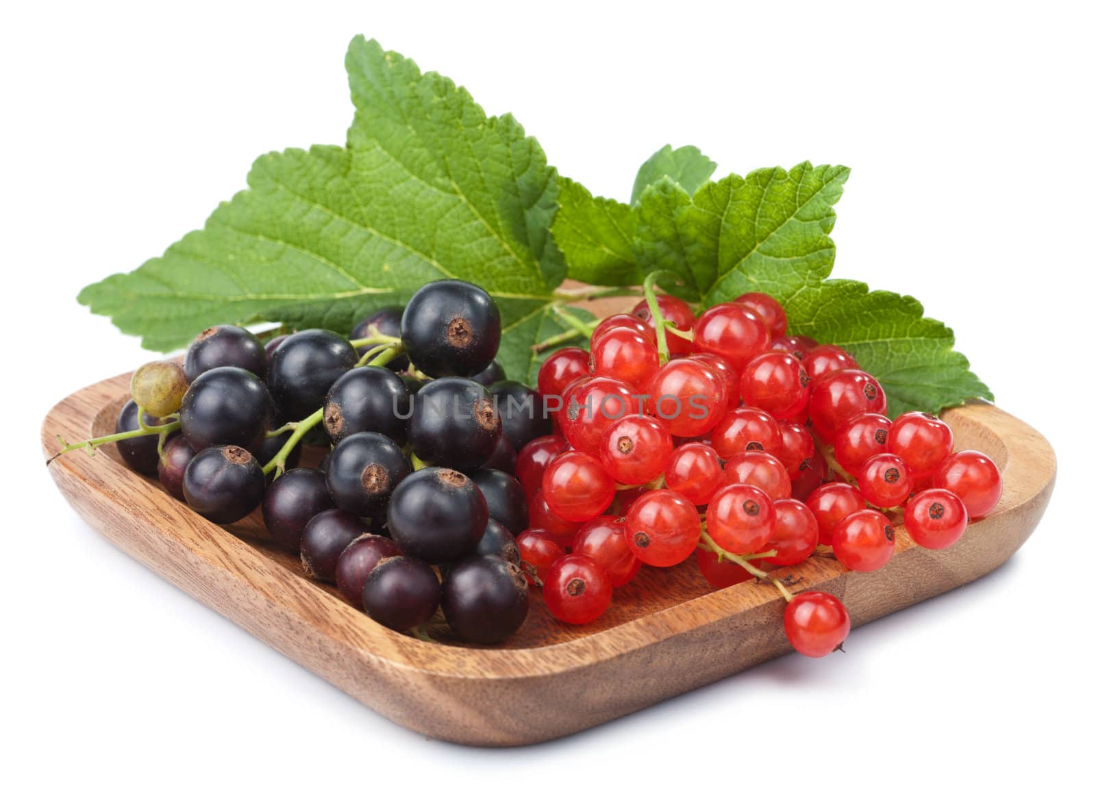 currant in bowl isolated