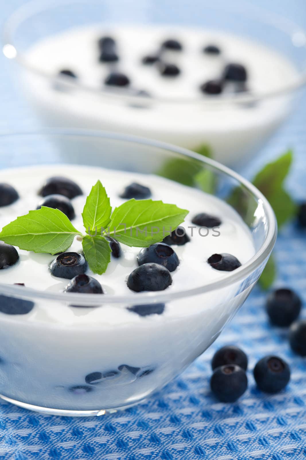yogurt with fresh blueberry 