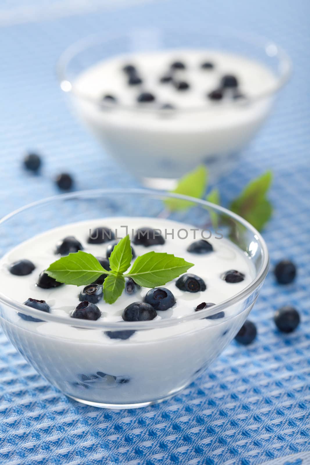 yogurt with blueberry 