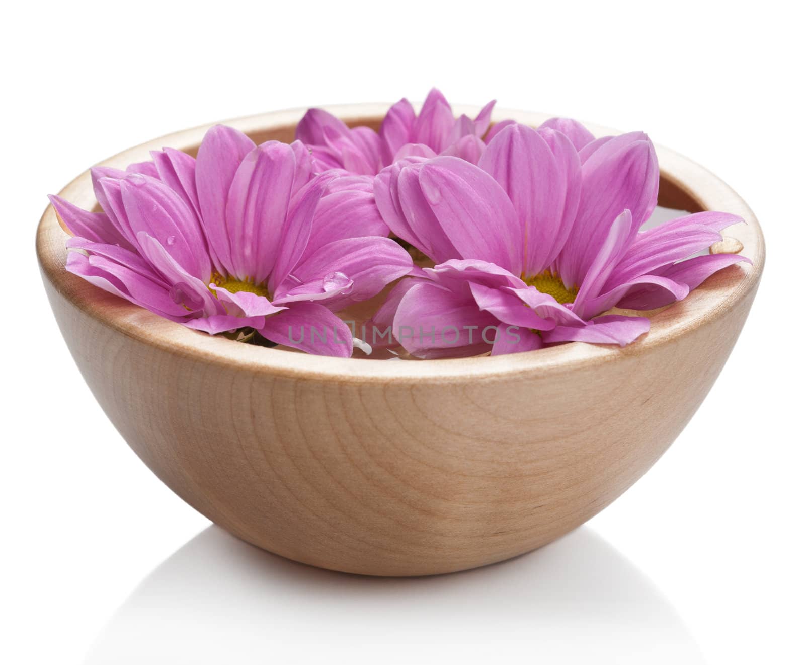 pink flowers in bowl isolated