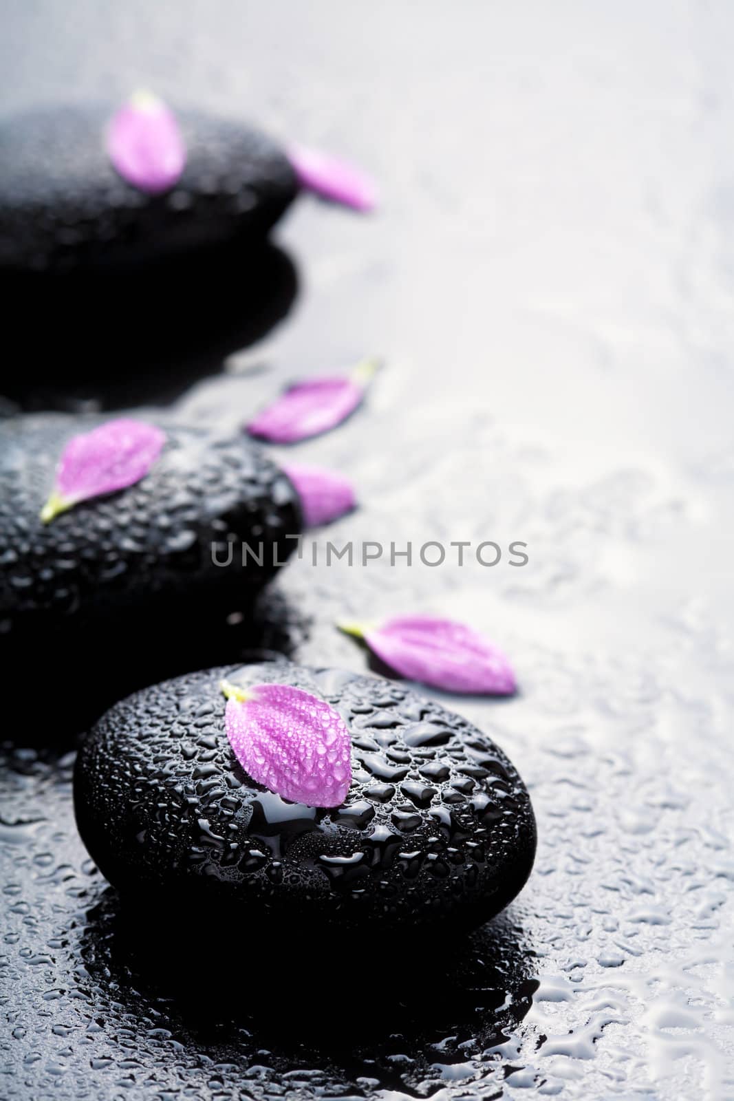 spa stones and petals 