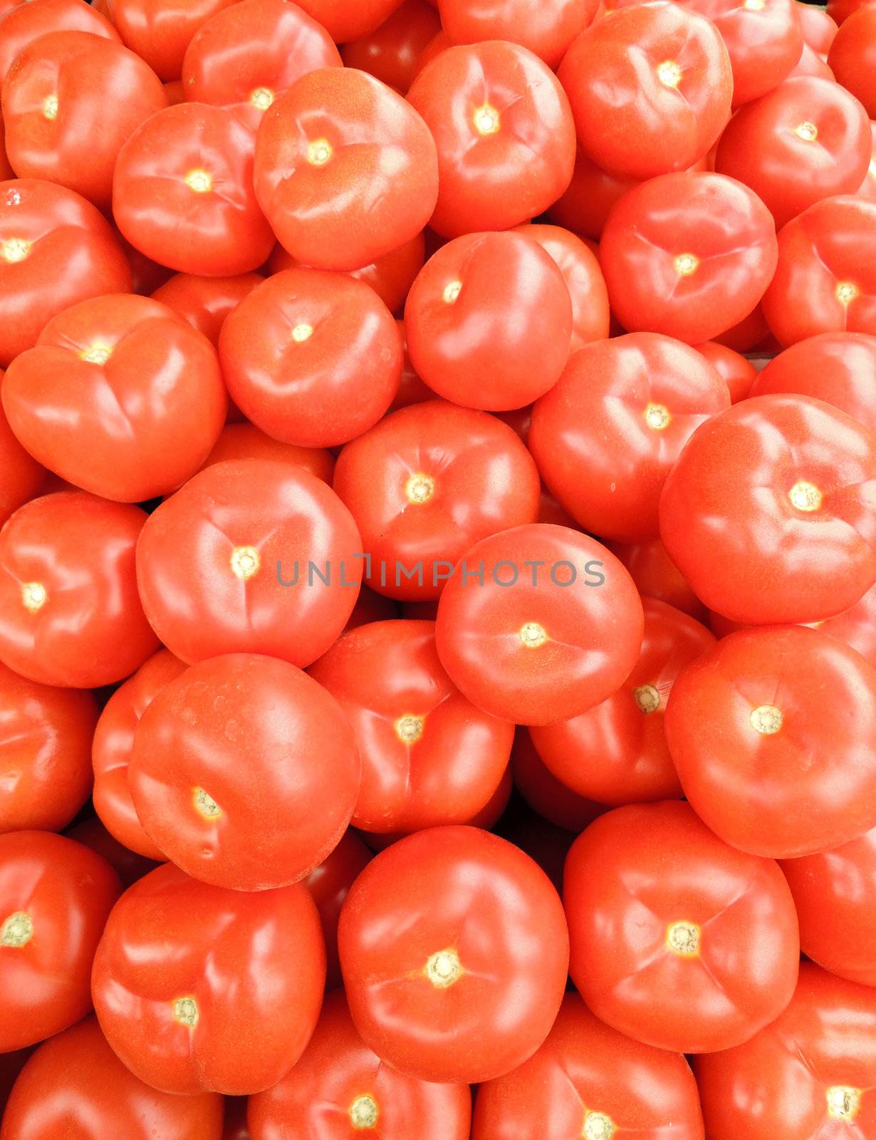 A lot of red tomatoes background by MalyDesigner