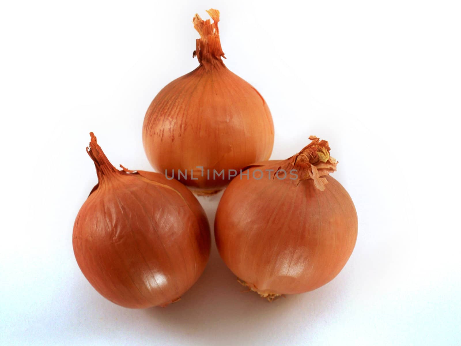 Fresh bulbs of orange onion vegetable on a white background