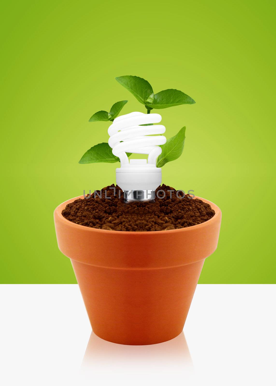 modern energy-saving concept, bright bulb in garden pot with small plant.