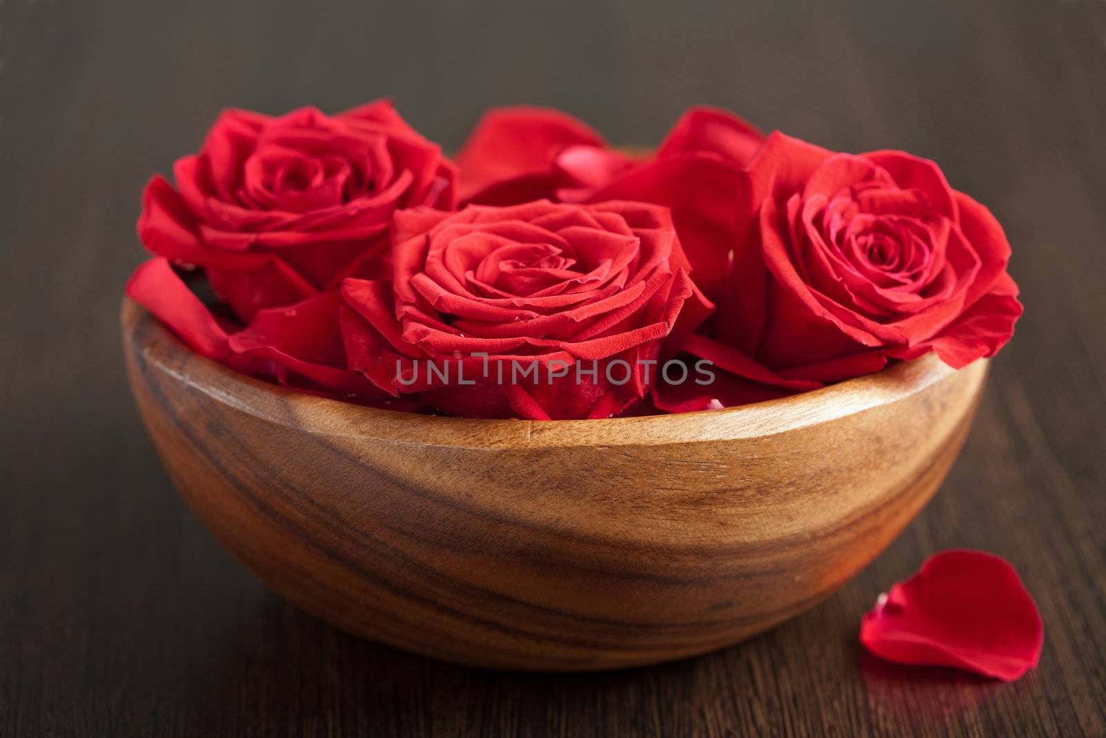 roses in bowl 