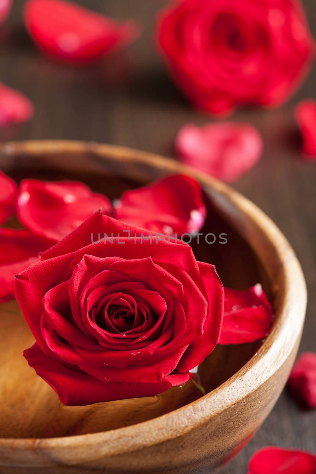 red roses in wooden bowl 