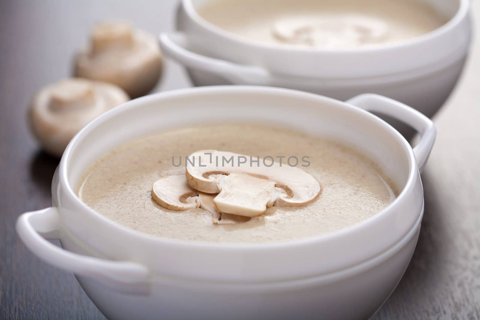 cream of champignon