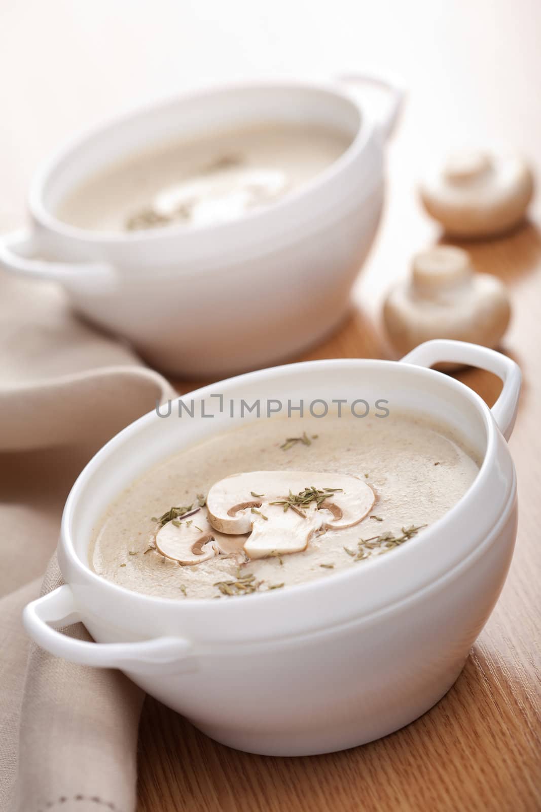 champignon cream