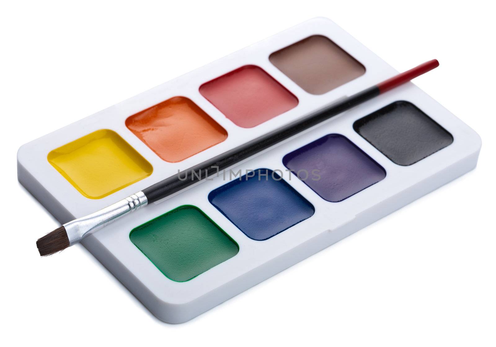 paints and brush isolated