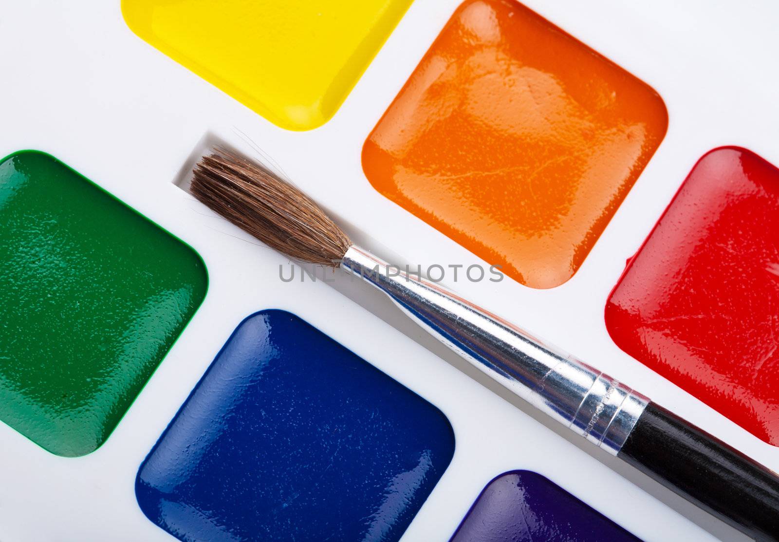 paints and brush