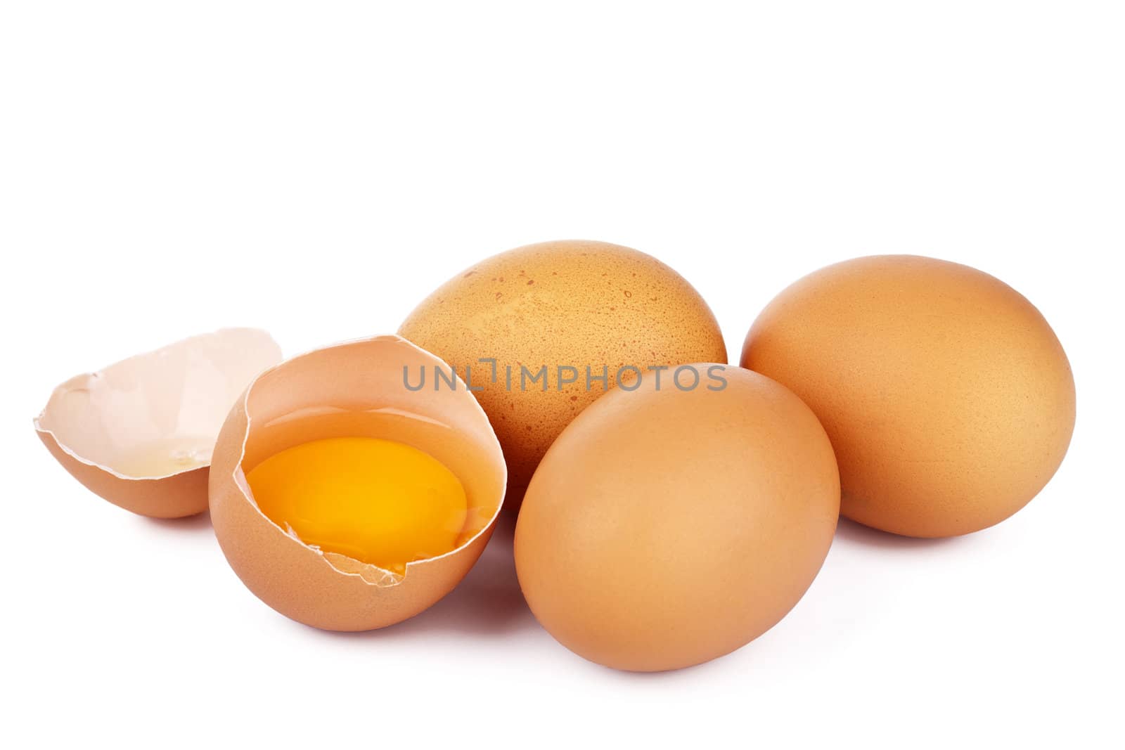 eggs isolated