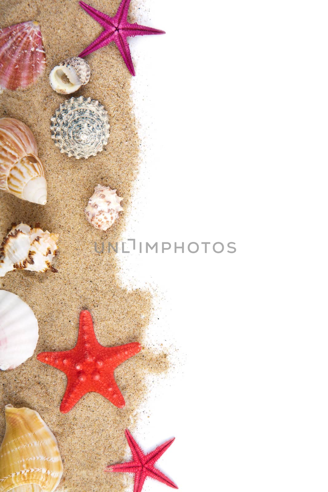 sand and sea shells isolated 