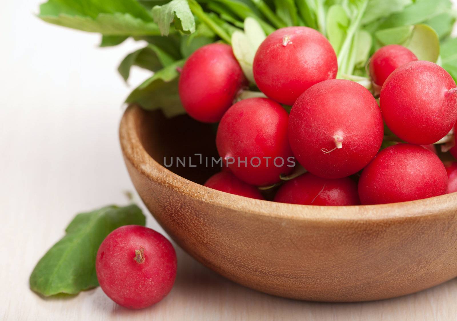 fresh radish 