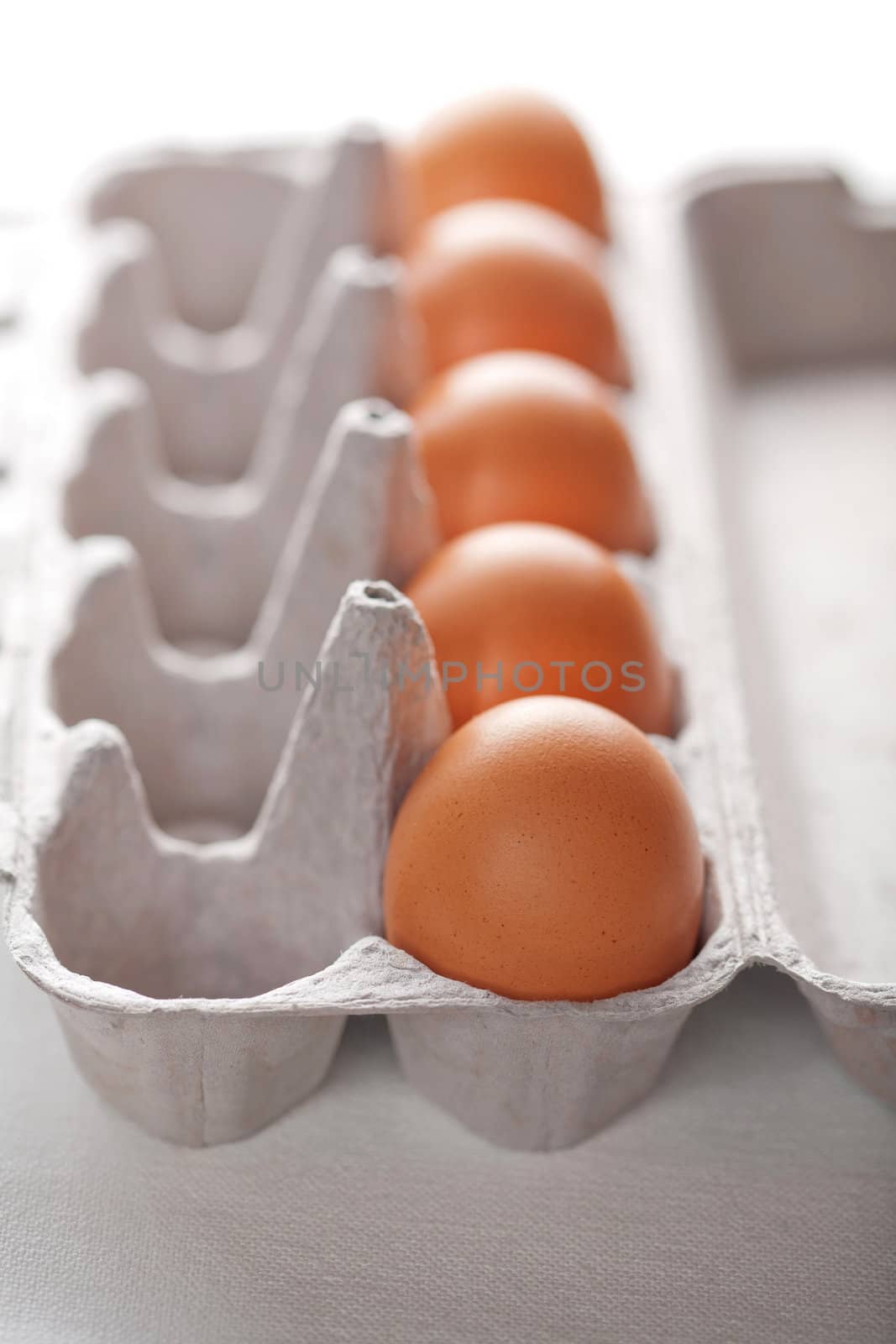 eggs in box isolated 