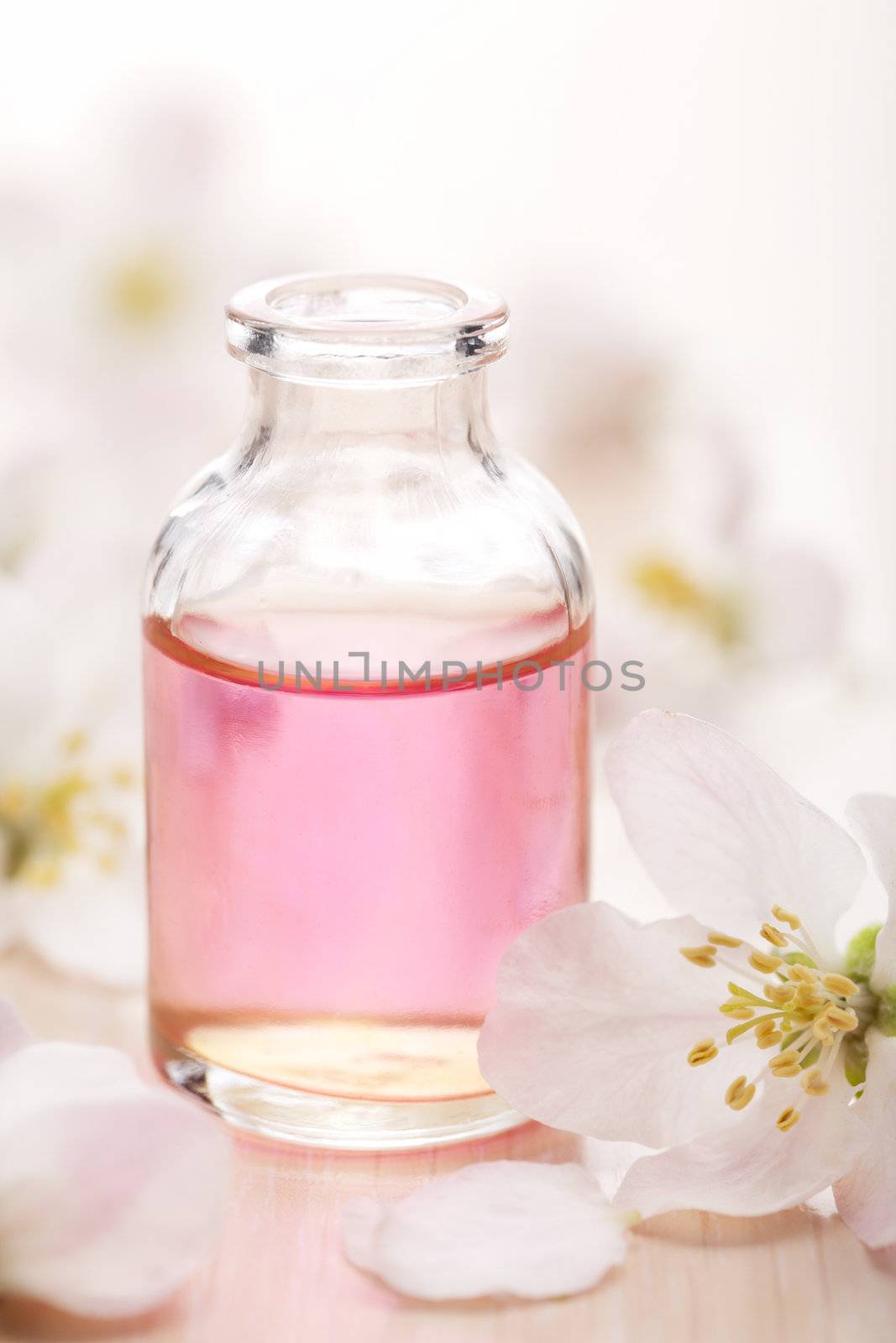 essential oil and flowers 