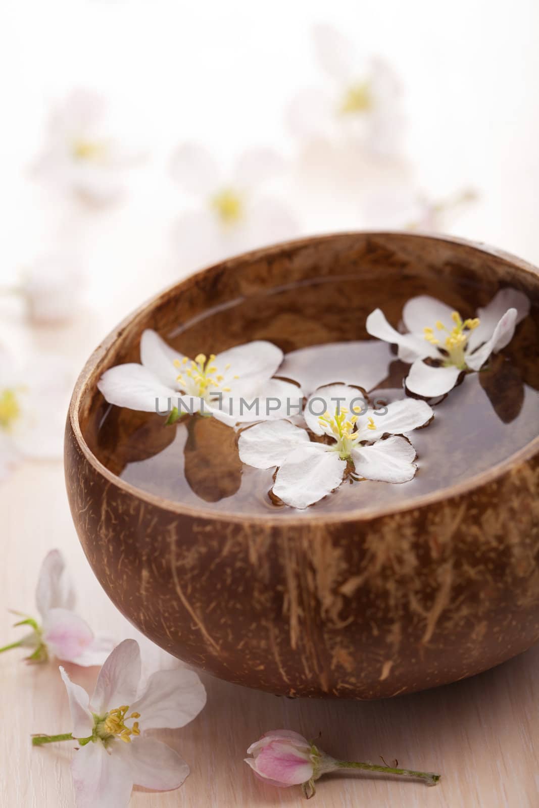 white flowers in bowl 