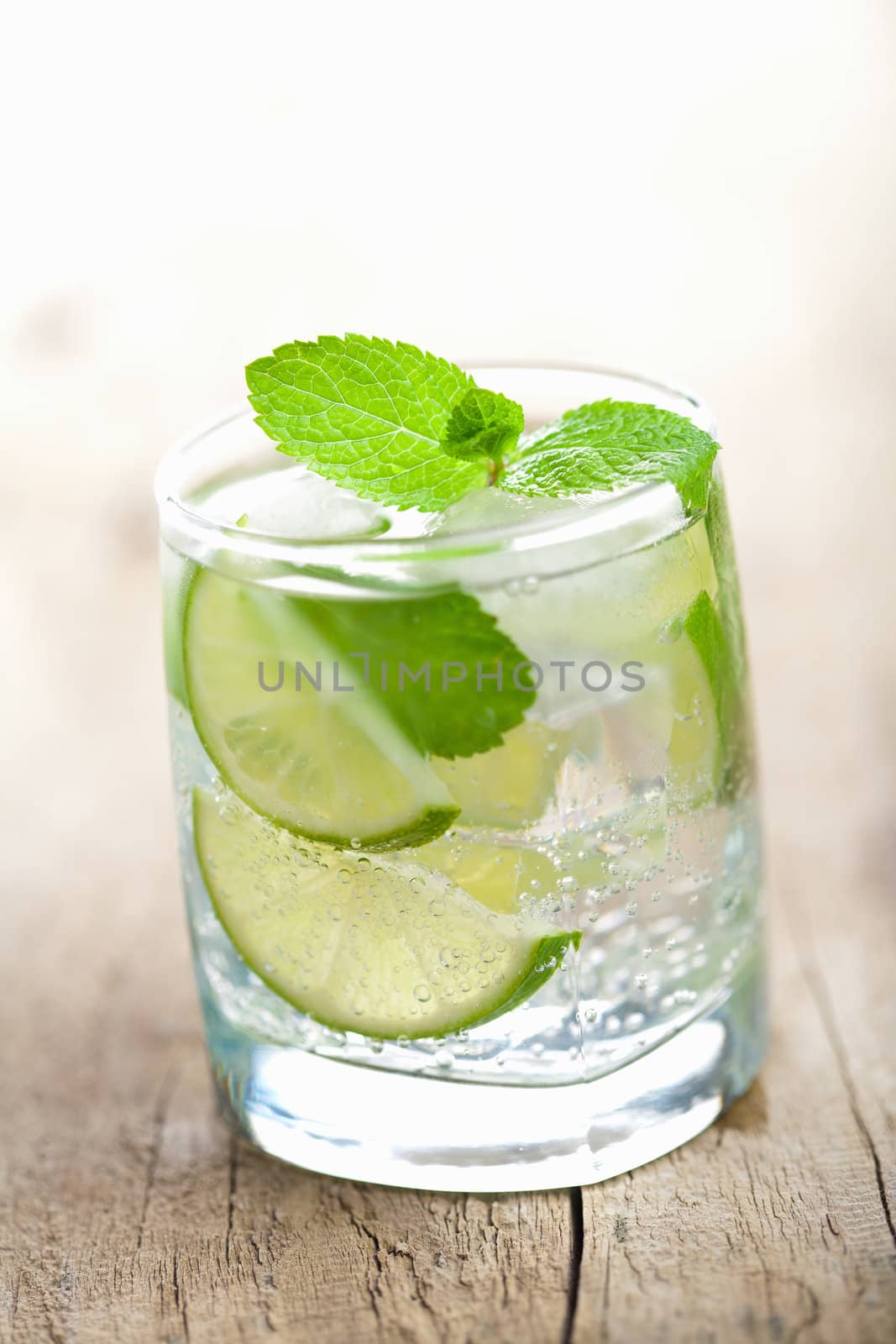 fresh mojito cocktail