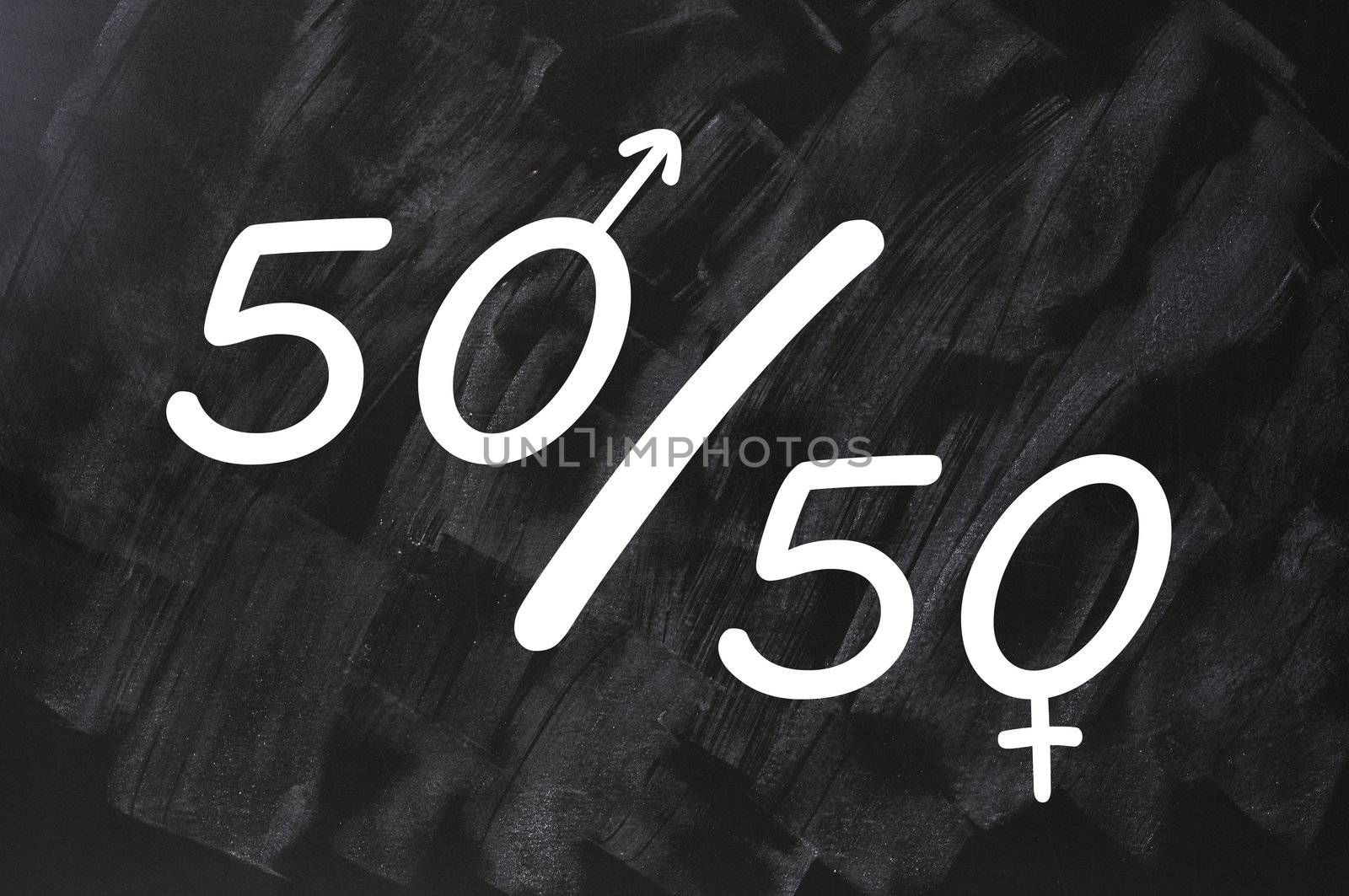 fifty percent - concept of gender equal opportunity or representation in political and public life sketched with white chalk on blackboard