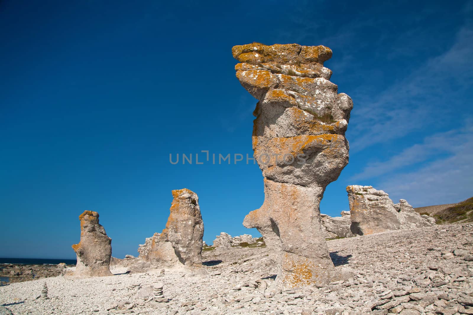 raukars at Faro island