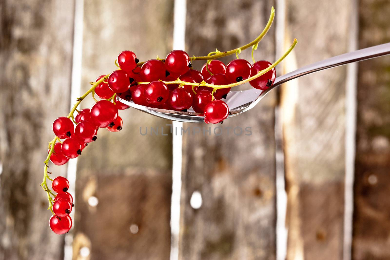 tasty ripe and juicy red currant over wooden plank background