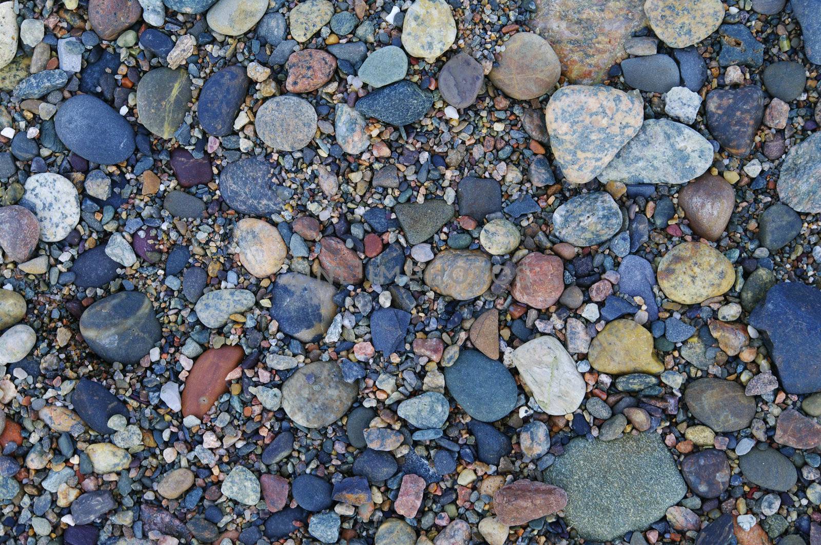 Fine beach stones along the Bay of Fundy shore 