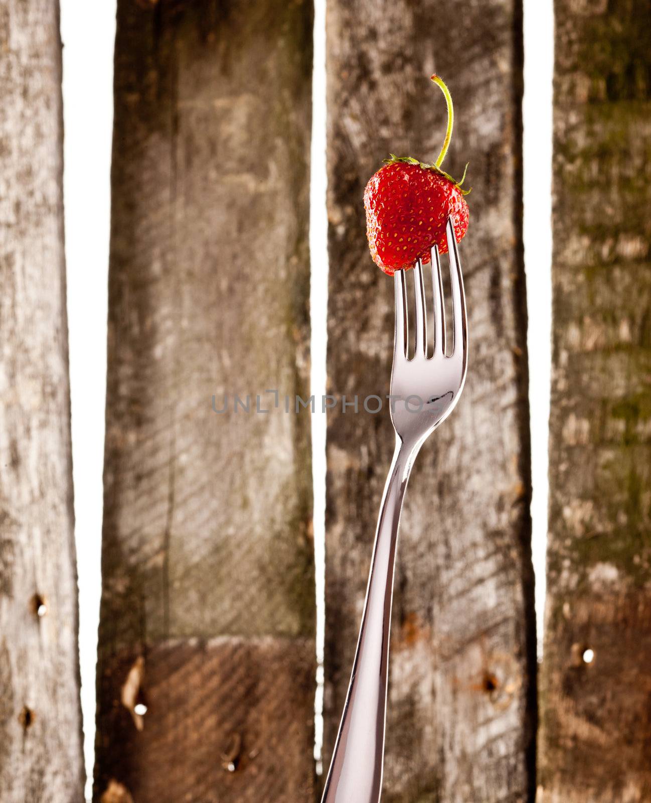 fresh and ripe red strawberry on siver fork