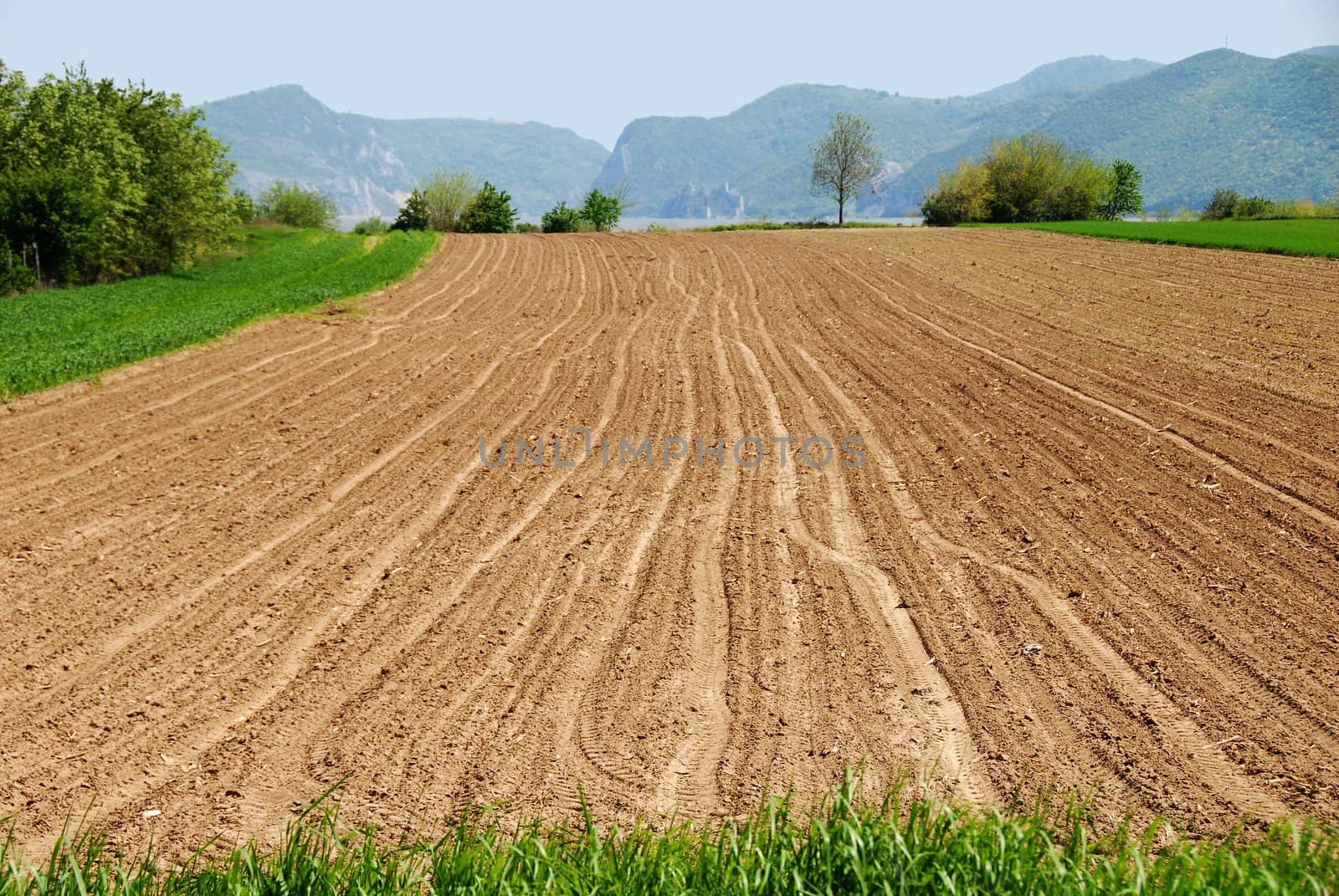 Plowed field by simply